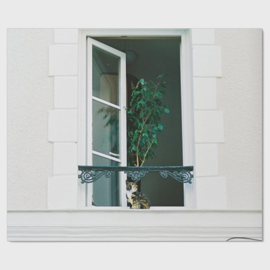GROEN PLANT OP WITTE VENSTER CADEAUPAPIER (Vlak)
