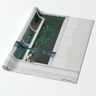 GROEN PLANT OP WITTE VENSTER CADEAUPAPIER
