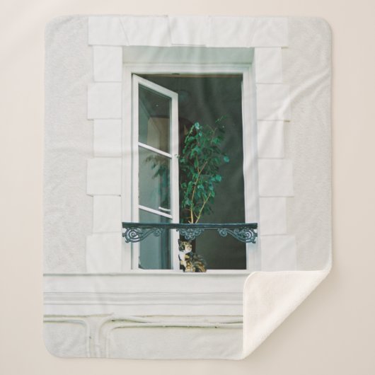 GROEN PLANT OP WITTE VENSTER SHERPA DEKEN (Voorkant)