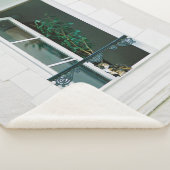 GROEN PLANT OP WITTE VENSTER SHERPA DEKEN (3/4)