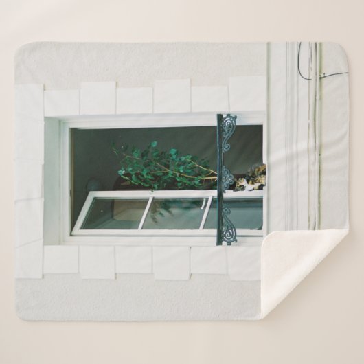 GROEN PLANT OP WITTE VENSTER SHERPA DEKEN (Voorkant (horizontaal))