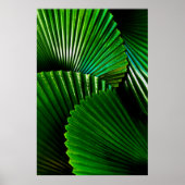 Groen plant poster (Voorkant)
