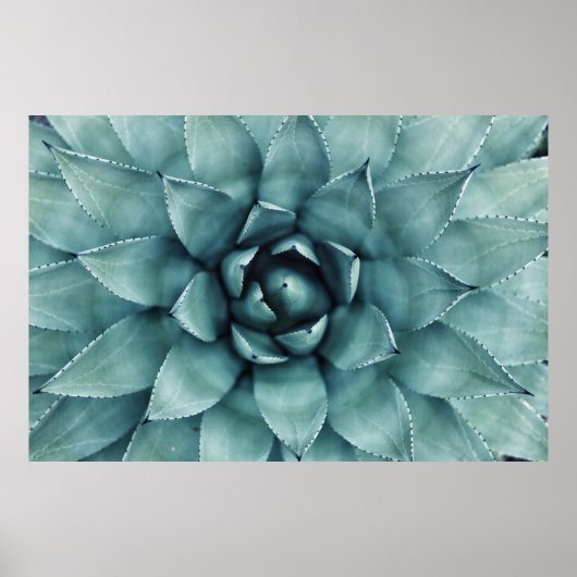 Groen plant poster (Voorkant)