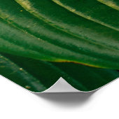 Groen plant poster (Hoek)