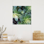 GROEN PLANT POSTER (Keuken)