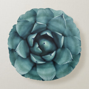 Groen plant rond kussen