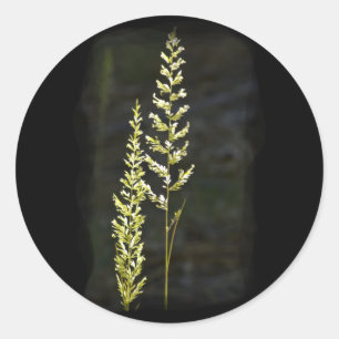 Groen Plant Ronde Sticker