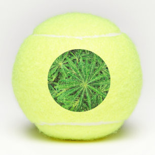 Groen plant tennisballen