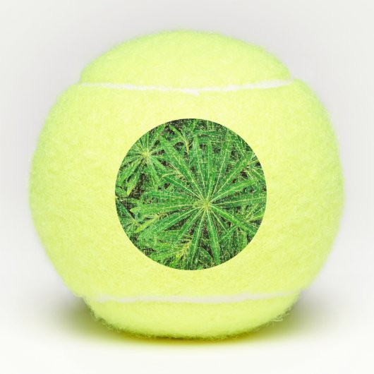 Groen plant tennisballen (Voorkant)
