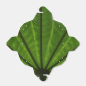 Groen Plant uit de voordeur Bedankdoosjes (Uitgevouwen)