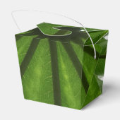 Groen Plant uit de voordeur Bedankdoosjes (Achterkant)