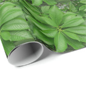 Groen Plant — Verpakkingspapier Cadeaupapier (Rol Hoek)