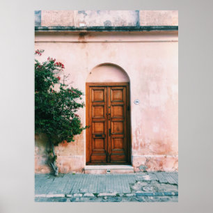 GROEN PLANTEN BESIDE BROWN WOODEN DEUR POSTER