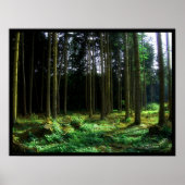 Groen Poster (Voorkant)