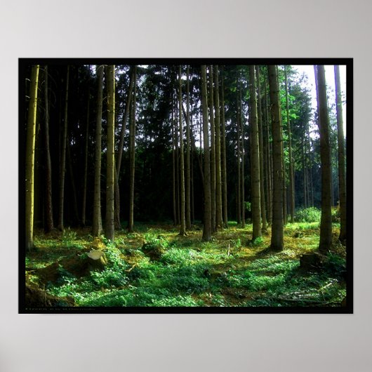 Groen Poster (Voorkant)