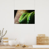 Groen Poster (Keuken)