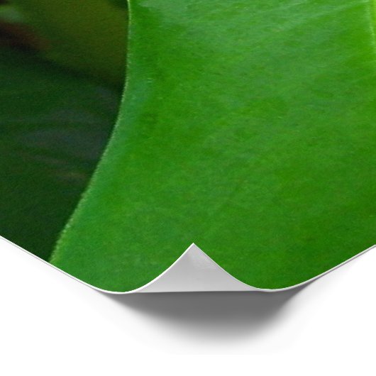 Groen Poster (Hoek)