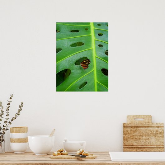 Groen Poster (Keuken)