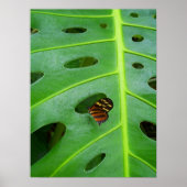 Groen Poster (Voorkant)
