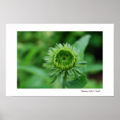 Groen Poster (Voorkant)