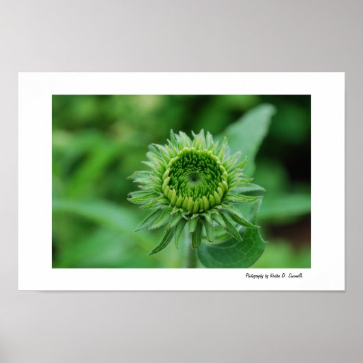 Groen Poster (Voorkant)