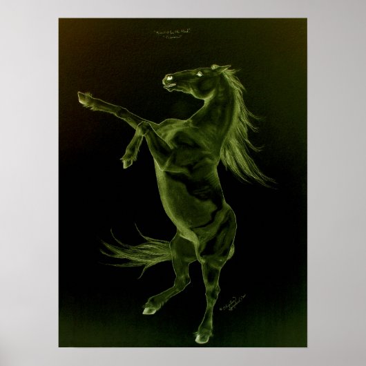 Groen Poster voor het fokken van zwarte paarden (Voorkant)