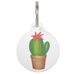 Groen Prickly Cactus Flower Potted Plant Succulent Huisdierpenning