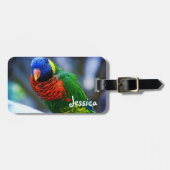Groen Rood Blauw Loriket Bird Custom Name Script Bagagelabel (Voorkant horizontaal)