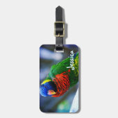 Groen Rood Blauw Loriket Bird Custom Name Script Bagagelabel (Voorkant verticaal)
