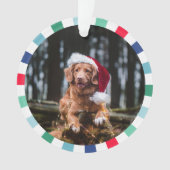 Groen Rood Blauw Starburst Stripes Hond Kerstmis Ornament (voorkant)