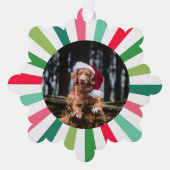 Groen Rood Wit Starburst Stripes Hond Kerstmis Ornament Kaart (Voorkant)