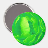 Groen Roos Magnet -  (Voorkant / Achterkant)