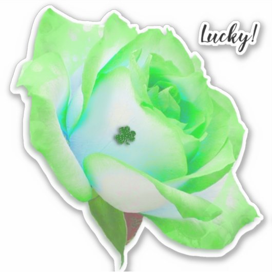 Groen Roos met Shamrock Sticker (Voorkant)
