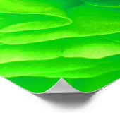 Groen Roos Poster (Hoek)