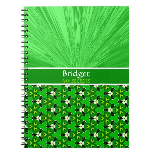 Groen Satin & Ivy My Secrets Personalized Journal Notitieboek (Voorkant)