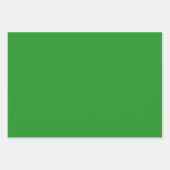 Groen Shamrock-ontwerp Inpakpapier Vel (Voorkant 2)
