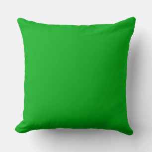 Groen Sierkussen 20"x 20"