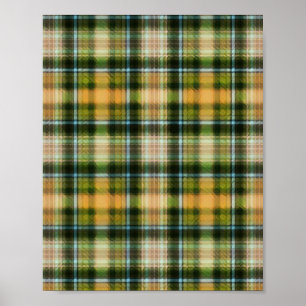 Groen sinaasappel St. Poster