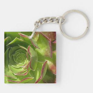 Groen Sleutelhanger