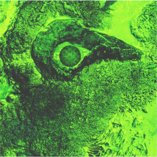 groen sticker (Voorkant)
