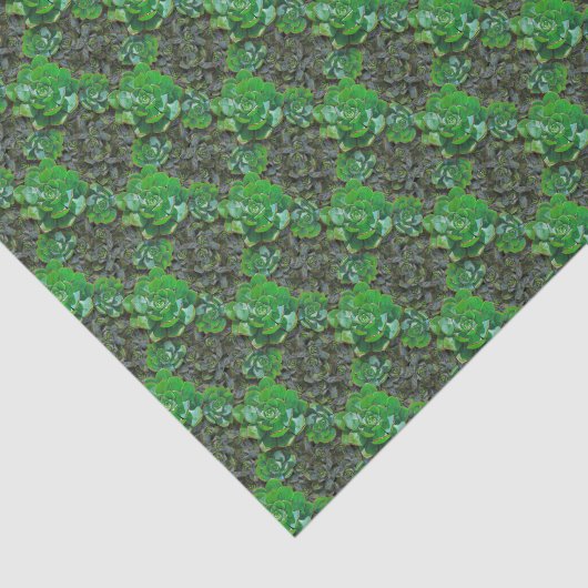 Groen stijlvol lantaarnpapier voor patroonpatronen tissuepapier (Detail)