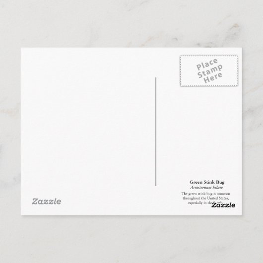 Groen stink het Briefkaart van het Insect (Achterkant)