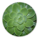 Groen Succulent Botanische Fotografie Keramische Knop (Voorkant)