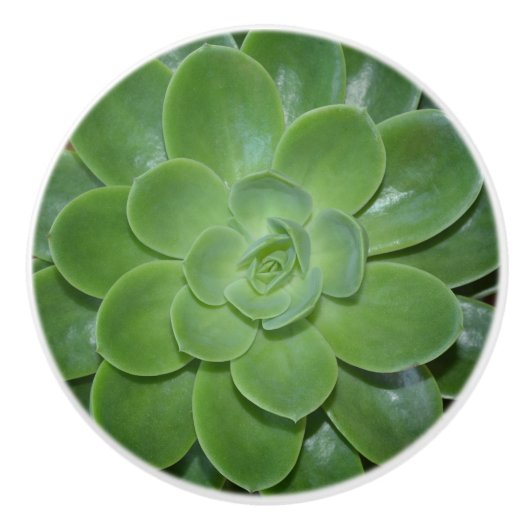 Groen Succulent Botanische Fotografie Keramische Knop (Voorkant)