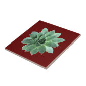 Groen Succulent Botanische woestijn Rood Tegeltje (Zijkant)
