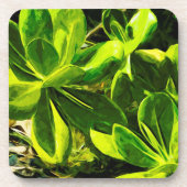 Groen Succulent Ocean Beach Plant Abstract Drankjes Onderzetter (Voorkant)