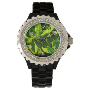 Groen Succulent Ocean Beach Plant Abstract Horloge