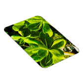 Groen Succulent Ocean Beach Plant Abstract Magneet (Rechterzijde)