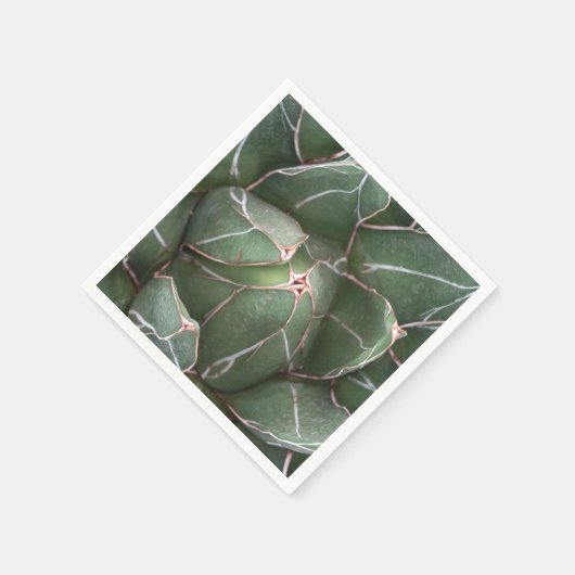 Groen Succulent Plant Foto Cocktail Papier servett Servetten (Hoek)