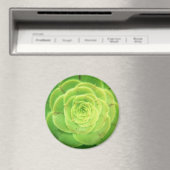 Groen Succulent Plant  Ronde Magnet (Insitu (Vaatwasser))